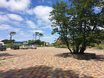 На Куршской косе появилась бесплатная парковка на 200 мест