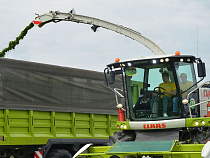 Алиханов объявил об уборке 30% урожая этого года