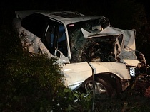 На востоке Калининградской области автомобиль врезался в дерево: есть пострадавшие