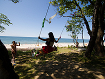  В Калининградской области появилась Янтарная аллея