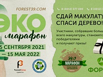 Сдай макулатуру - спаси дерево