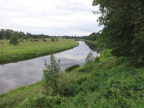 Селянин заплатит 0,6 млн рублей за неконтролируемые перемещения стада