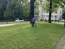 В Калининграде появятся наклонные газоны 