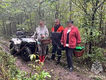 Под Полесском женщина с грибами до утра плутала по лесу