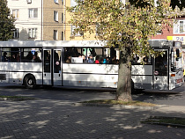 В Калининграде зафиксировано падение пассажирооборота