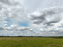 В Калининградскую область придёт летнее тепло — выше +20