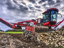 Открытие Китая: новые рынки гранулированного жома повысят доходность сахаропроизводителей