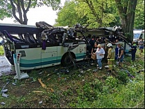 Кукушкина о ДТП с автобусом на Янтарный: «Ничего не предвещало беды»