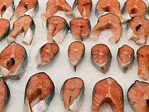 Активисты Янтарного выдавили лососевого инвестора в никуда