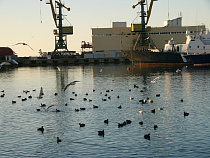 В Калининградской области появится грузовой порт в открытом море