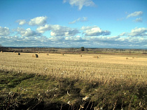 В 2017 году регион получит дополнительные 100 млн рублей на ремонт мелиоративных объектов 