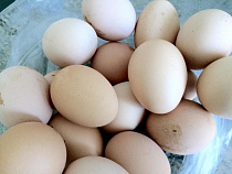 Яйца из Германии не пустили в Калининград