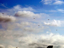 Немцы прилетели в Калининград на 13 легкомоторных самолетах (фото)