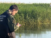 Житель Калининграда захлебнулся под Светлым