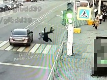 Опубликованы шокирующие кадры наезда на велосипедиста в Калининграде 