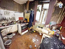 Электросеть на Зоологической в Калининграде убила 64-летнего хозяина