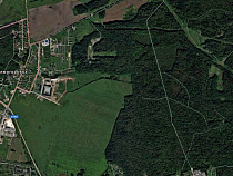 ОНФ: общественники ходатайствуют в Облдуму о создании лесопарка в Холмогоровке 