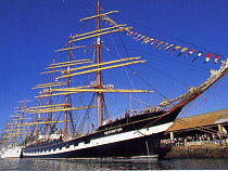 «Крузенштерн»: легендарный барк вернулся в Калининград