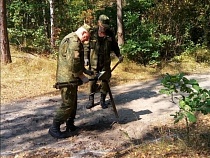 В лесу под Балтийском нашли ещё снаряды