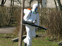 Губернатор Калининградской области потребовал прививать детей от энцефалита