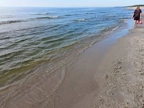 Туристы выловили из моря у пляжей Калининградской области пугающее