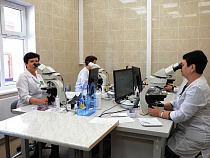 Правительство: с 2018 года врачи смогут выдавать рецепты и справки в электронном виде