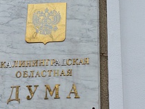 В Облдуме назвали новый коэффициент инфляции