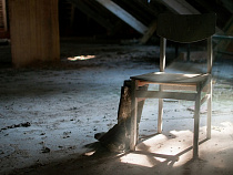 Жильцы домов на Ростовской эвакуированы из-за бомбы в 100 кг (видео)