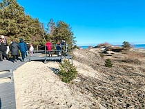 На Куршской косе паразиты нападают на туристов