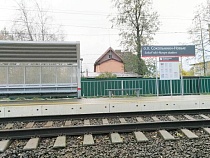 Качановичу построят мост к аквапарку в Сокольниках?