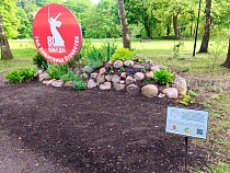 Покуражившихся в парке Победы Черняховска детей судят как вандалов