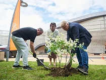 Туристы ринутся за удачей в деньгах в эту точку Светлогорска