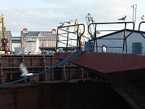 В порту Калининграда заблокировали сомнительный товар из Колумбии