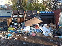 Раздельный сбор мусора в Калининграде: реальность (видео)