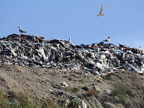 Ярошук анонсировал закрытие свалки в Косме