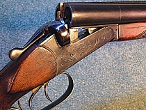 В Калининградской области дали добро на отстрел оленей и косуль