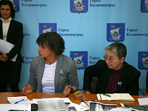 Вырубка деревьев: в Калининграде общественники и власть не нашли общего языка