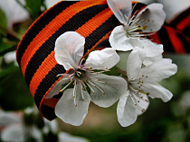  В Калининграде пройдет патриотическая молодежная акция "Весна Победы"