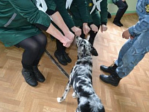 Зэчек лечат от пьянства и наркомании собаками 