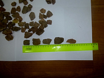 Калининградка везла в Литву спрятанные в тайнике 17 кг янтаря