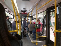 В Калининградской области зовут «сдельников» для перевозки пассажиров