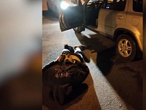 Калининградцы блокировали сигнализации сканером и взламывали машины