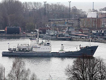 Россельхознадзор вернул 108 тонн «турецкой птицы»