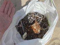 На пляже в Янтарном отдыхающие собрали 7 кг гвоздей 