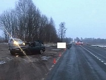 Под Гвардейском «БМВ» врезался в лошадь 