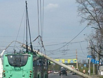 На Чкаловском повороте на троллейбус рухнул столб