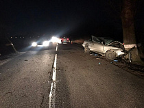 В ДТП под Зеленоградском погиб 31-летний водитель