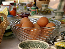 С начала года яйца в Калининградской области подешевели на 20%