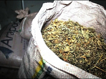 Под Калининградом полиция нашла наркотики у подозреваемого  в угоне