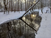 В Калининградской области на время отменили аномальную зиму 